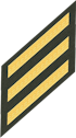 Three Service Stripes