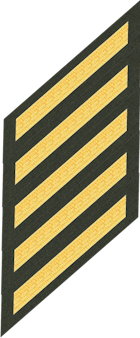 Five Service Stripes