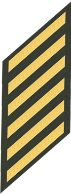 Six Service Stripes