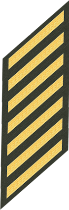 Seven Service Stripes