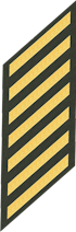 Seven Service Stripes