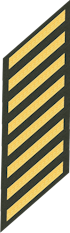 Eight Service Stripes