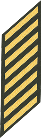 Eight Service Stripes