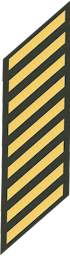 Nine Service Stripes