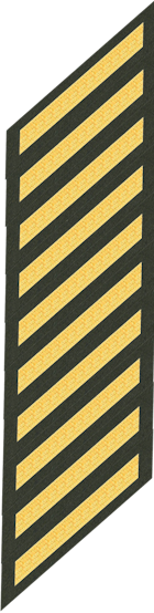 Ten Service Stripes