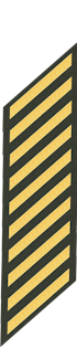 Ten Service Stripes
