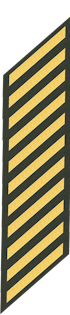 Eleven Service Stripes
