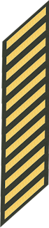 Twelve Service Stripes