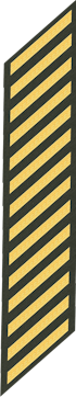 Fourteen Service Stripes
