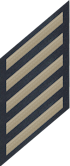 Five Service Stripes