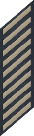 Ten Service Stripes