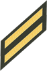 Two Service Stripes