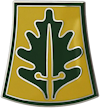 800th Military Police Brigade