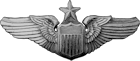 AAF Senior Pilot Badge