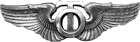 AAF Technical Observer Badge