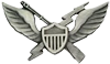 Air Assault Badge 11th AAD 1964