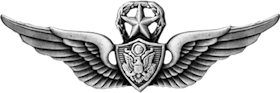 Aviation Badge (Master)