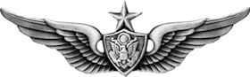 Aviation Badge (Senior)