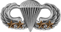 Basic Parachutist (4 Combat Jumps)