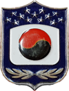 USA - Republic of Korea (ROK) Combined Forces Command