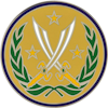Combined Joint Task Force Operation Inherent Resolve