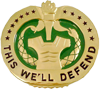 Drill Sergeant Badge