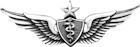 Flight Surgeon Badge (Senior)