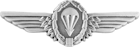 Germany Jump Wings (Silver)