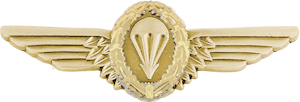 Germany Jump Wings (Gold)