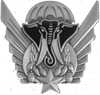 Ivories Parachutist Badge2