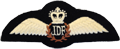 Jamaica Defense Force Air Wings
