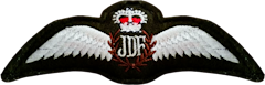 Jamaica Defense Force Air Wings