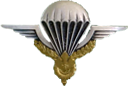 Laotian - Parachutist Wings