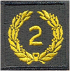 Meritorious Unit Commendation (2nd Award)