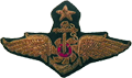 Royal Thai Supreme Command Forward Badge (2nd Class)