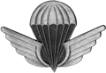 Tunisian Parachutist Badge