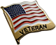 Veteran Pin