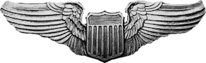 USAAF Pilot Badge