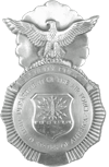 Air Force Security Force Badge