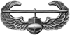 Army Air Assault Badge