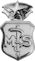 Medical Service Corps (Master)