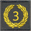 Meritorious Unit Commendation 1944-1961 (3rd Award)