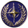 NATO Badge
