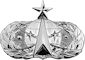 Space and Missile Badge (Senior)