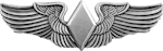Women Airforce Service Pilots (WASP) Badge