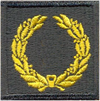 Meritorious Unit Commendation 1944-1961