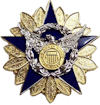 Auxiliary National Staff Badge