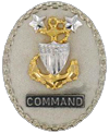 Command Master Chief E9