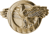 WW II Honorable Discharge Pin 