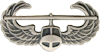 Air Assault Badge